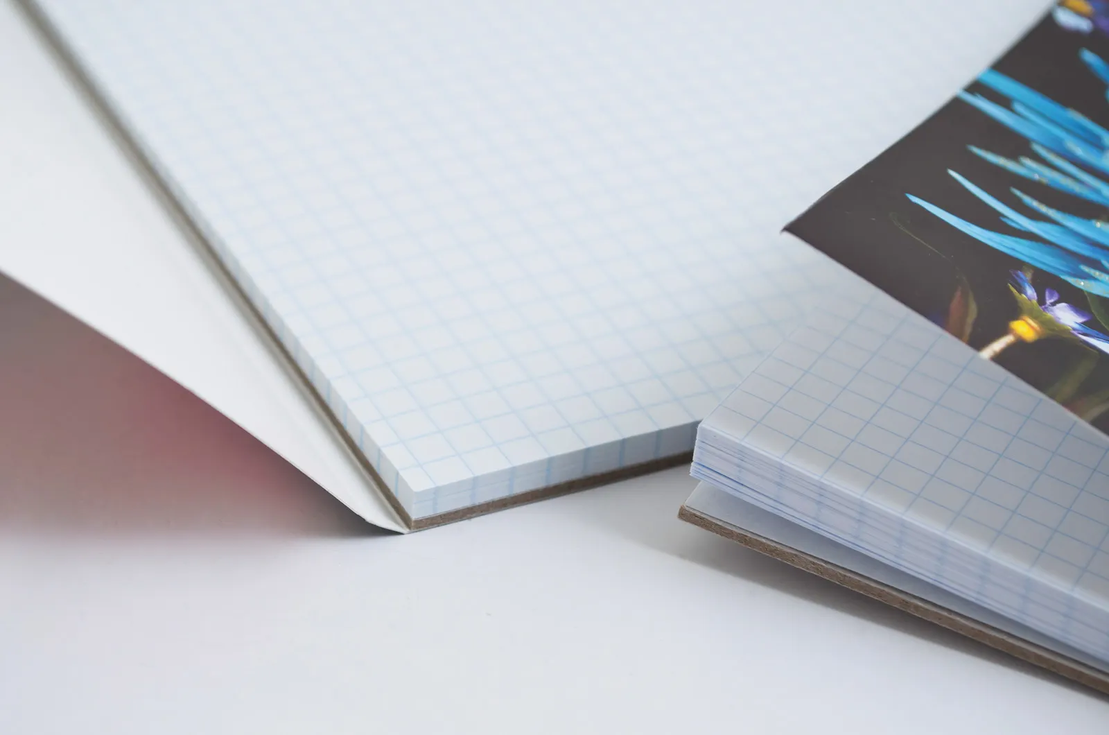 Как отличить грамотного человека от неуча за один диалог в Telegram. Лайфхак!