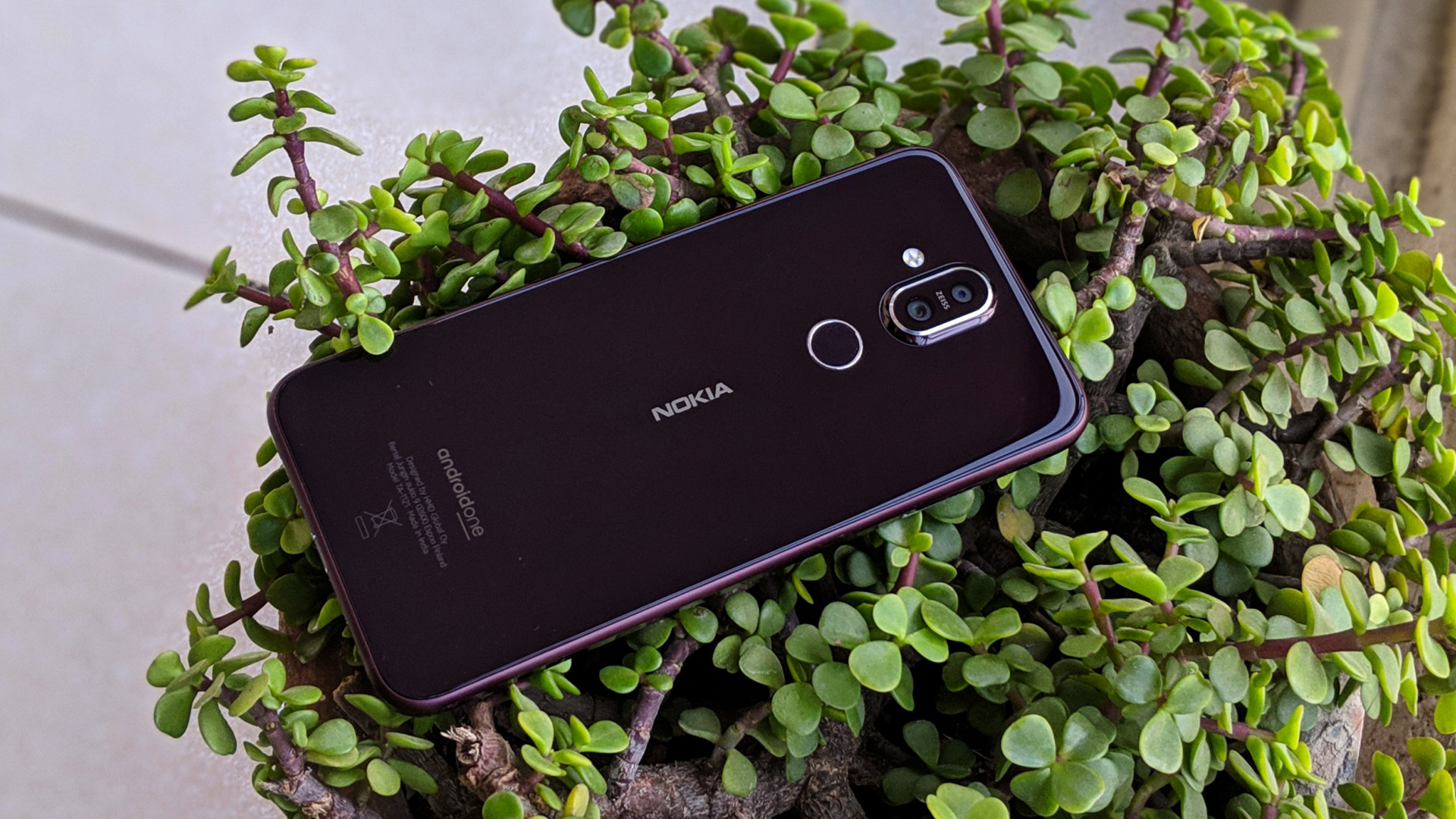 Почему Nokia 8.1 – лучший смартфон компании после возрождения — Палач |  Гаджеты, скидки и медиа