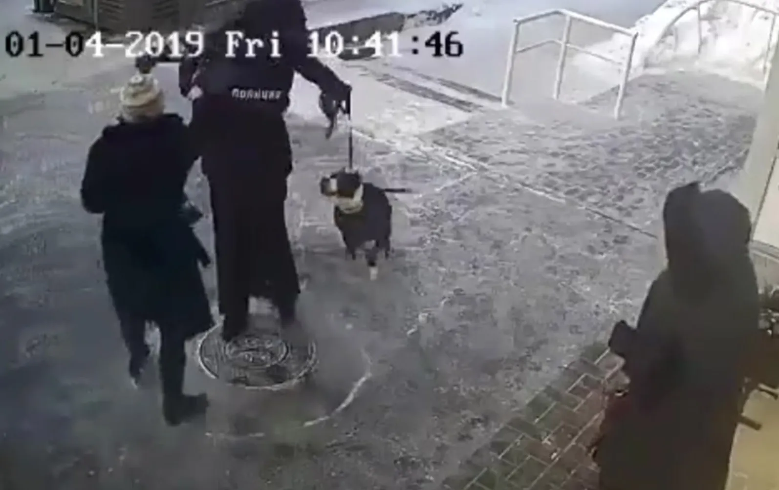 Видео: как якобы пьяный полицейский напал на хозяина собаки без намордника?