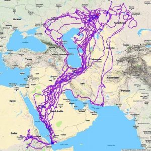 Карта ограничений полетов дронов