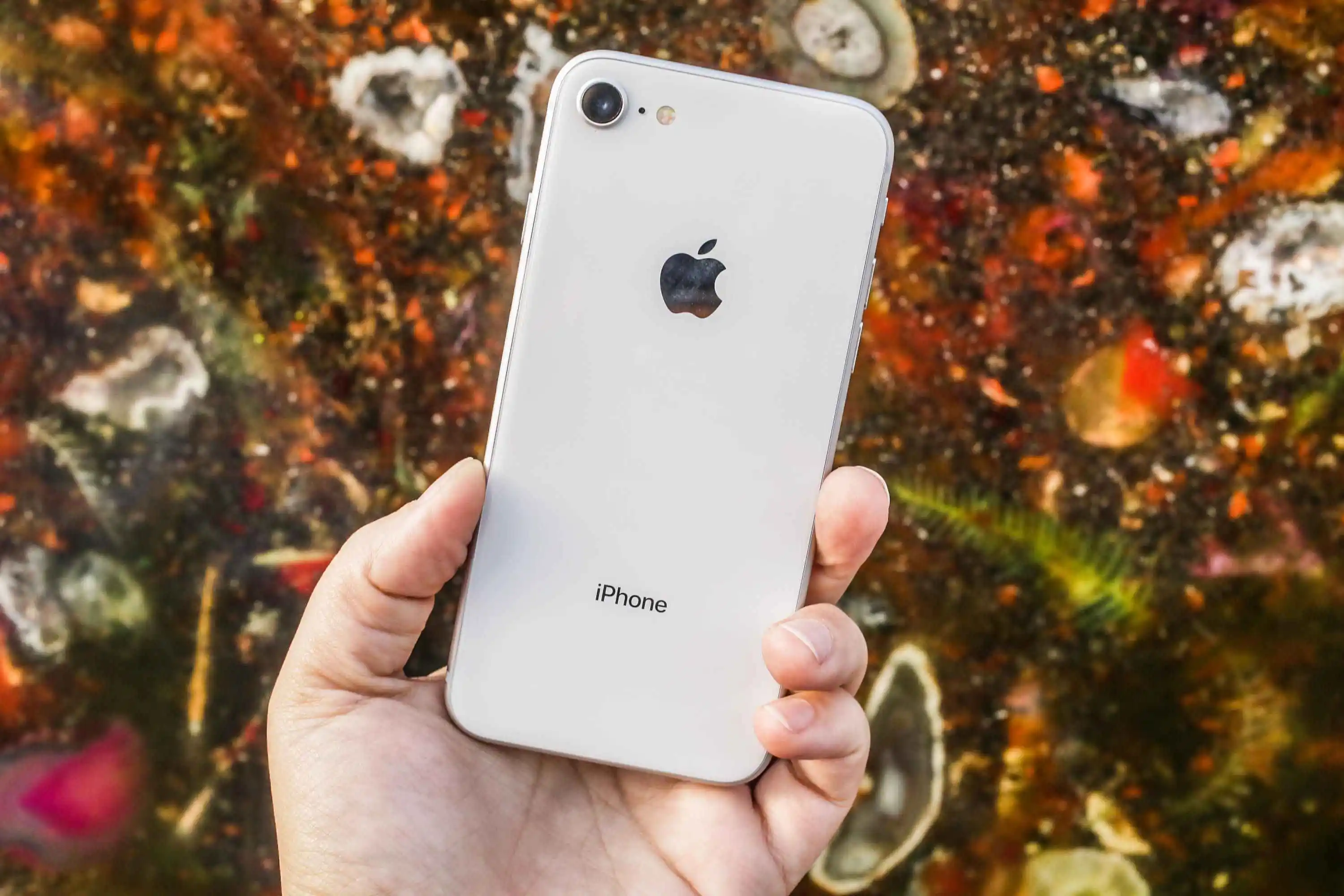 iPhone 8 теперь стоит не сильно дороже «семёрки». Стоит ли переплачивать?