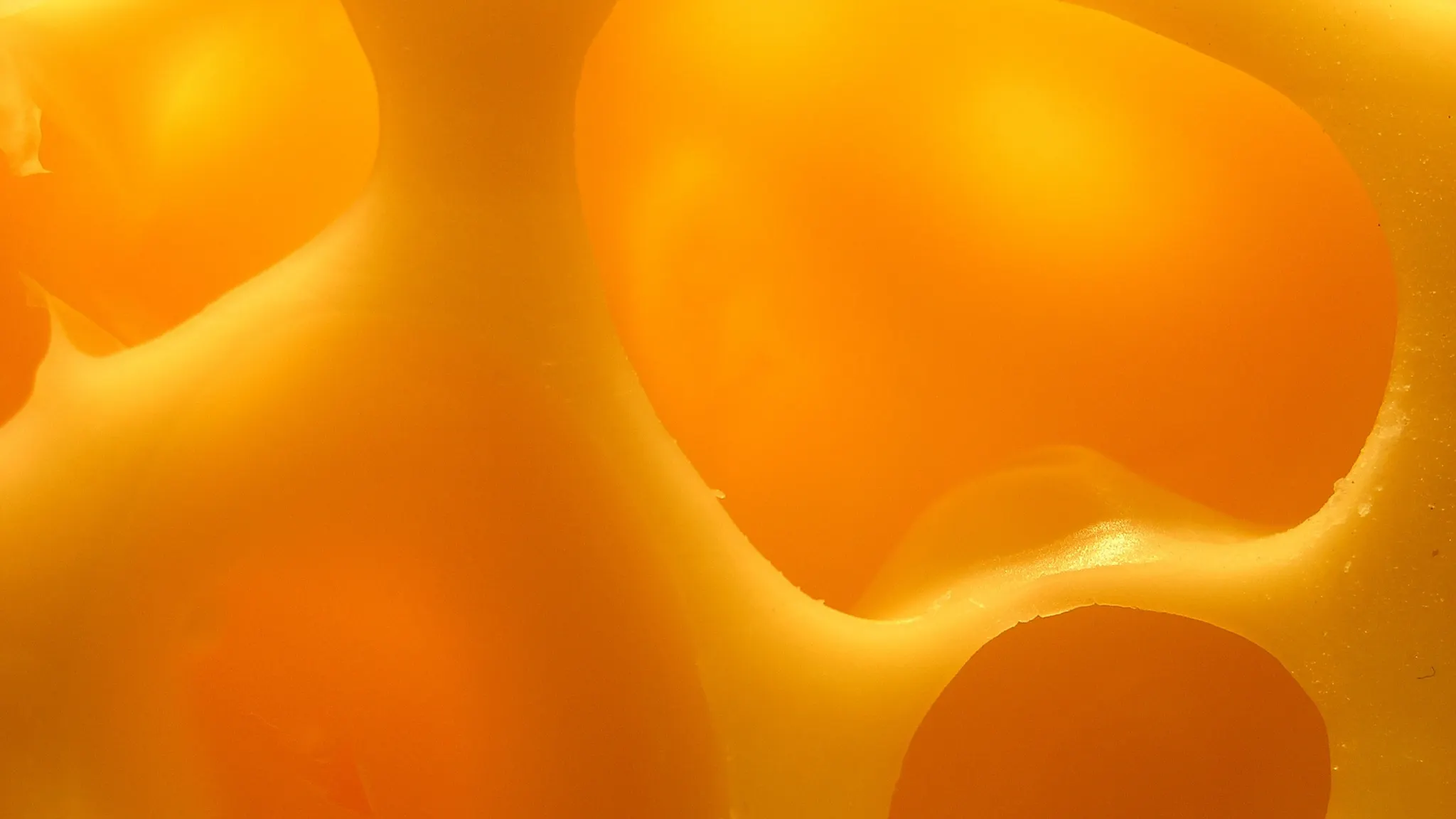 В Канаде полиция ищет похитителя сыра. Дело серьезнее, чем может показаться