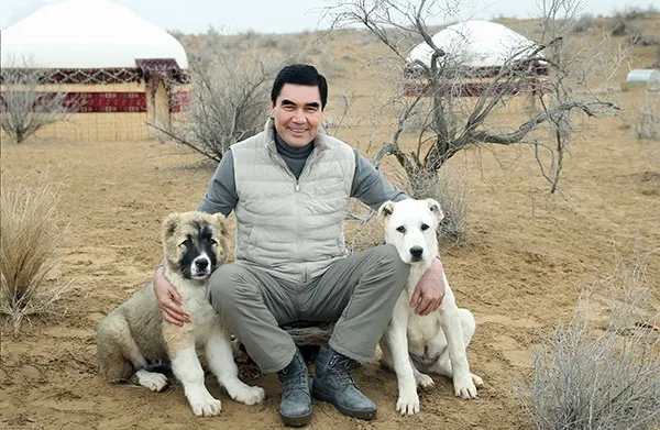 Президент Туркменистана выпустил книгу об алабаях. Страна праздновала шесть дней