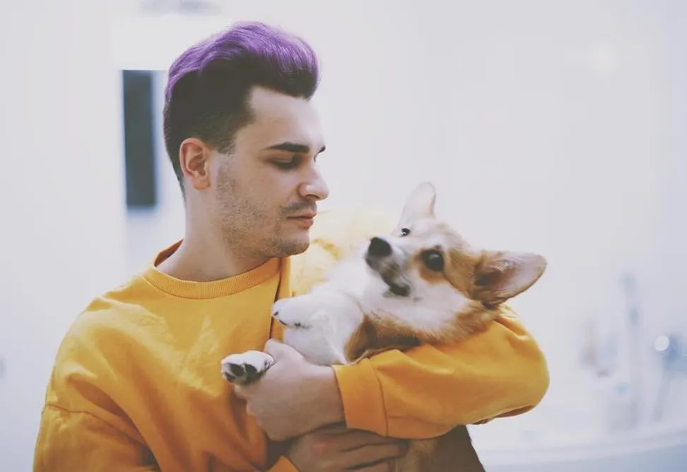 Студия Артемия Лебедева сделала логотип собаке блогера Юлика. 100 тысяч потрачены не зря