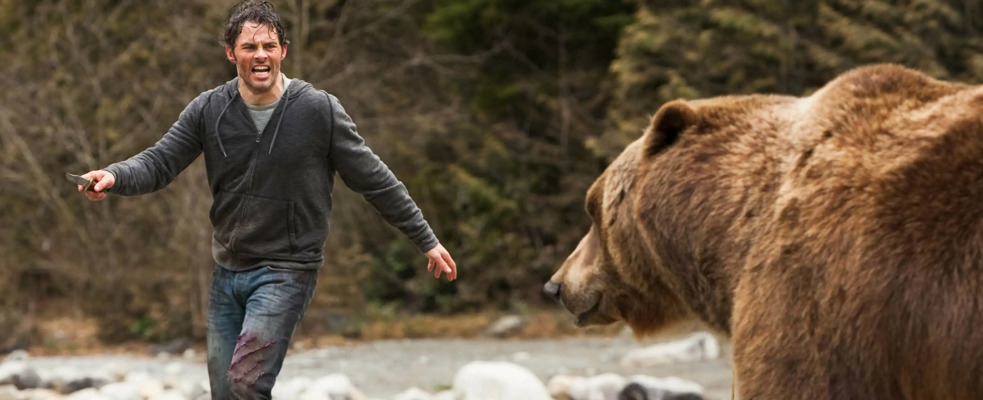 Мужчина пытался побороть медведя гризли в национальном парке. Чем все закончилось?
