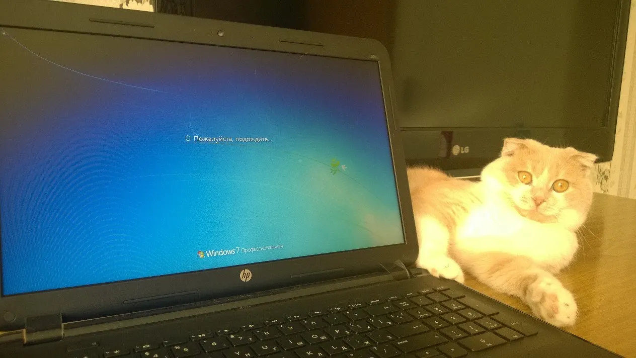 Windows 7 Pro скоро умрёт. Пользоваться этой ОС станет опасно