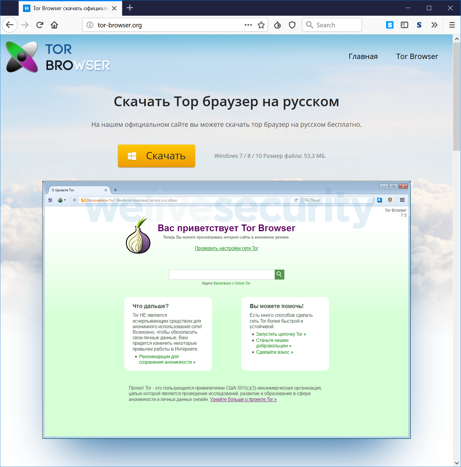 tor browser video download гирда