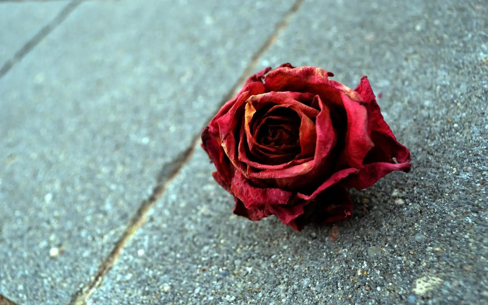 Сколько лет человек проживёт без медицины и таблеток? Спойлер: мало