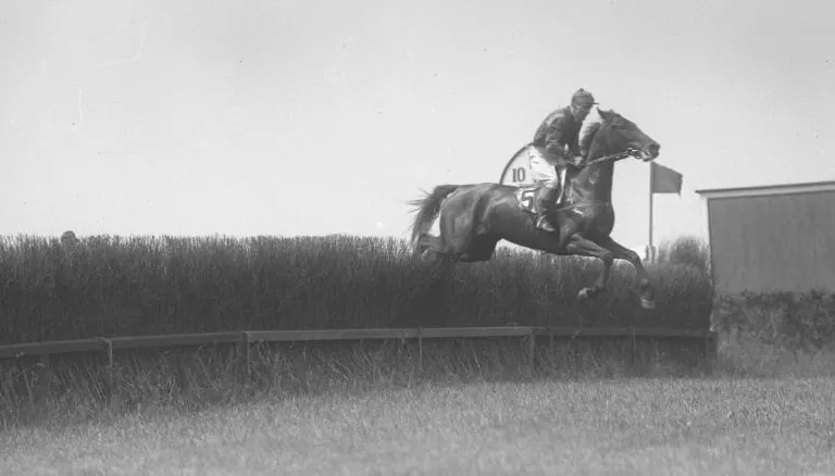 На скачках в Нью-Йорке победил мертвый жокей. Побеждать в забегах живым у него не получалось