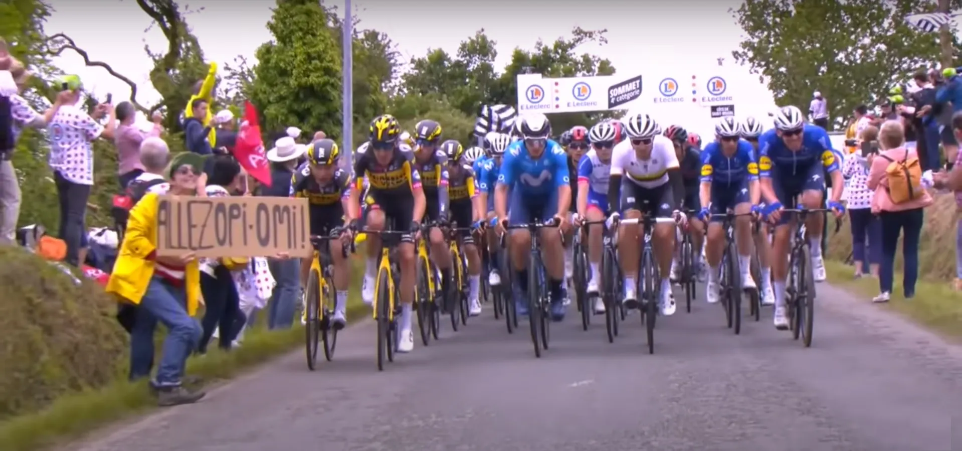 Болельщица с плакатом вызвала гигантский завал на «Тур де Франс». Баннер про бабулю травмировал 21 велогонщика