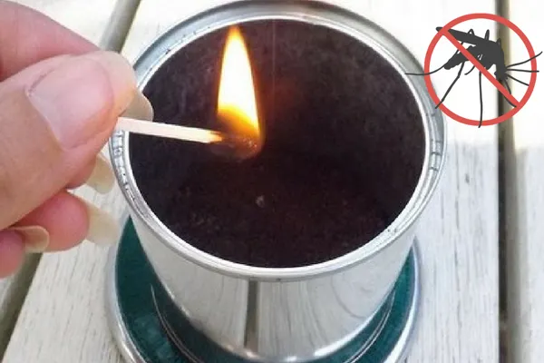 Как отогнать комаров с помощью кофе? Лайфхак, у которого практически нет недостатков