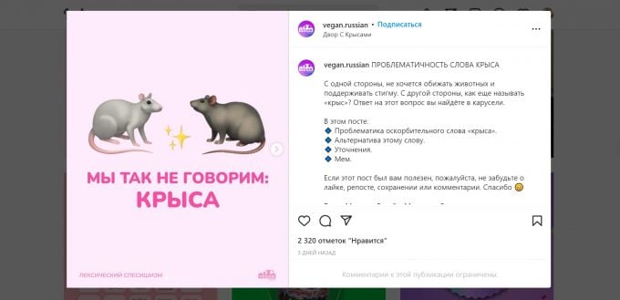 Пост Марины Ястремской про запрет слова "Крысы"