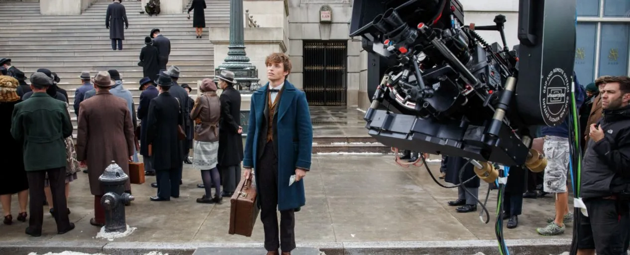 «Фантастические твари» умирают. Почему наследника «Гарри Поттера» преследуют неудачи?