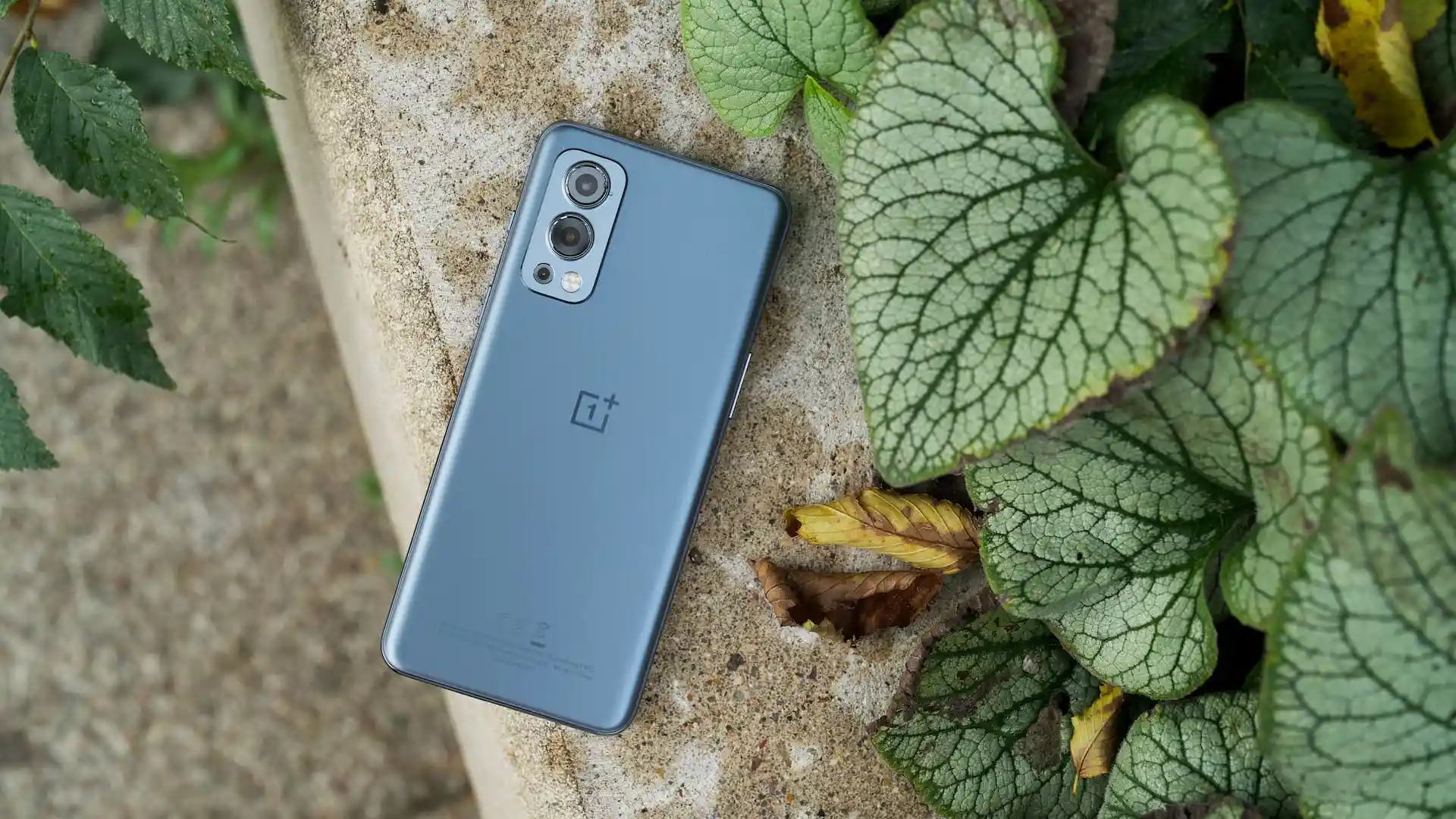 Хитовый OnePlus стоит возмутительно дешево в России. У него топовая камера, мощный процессор и 90-герцовый экран