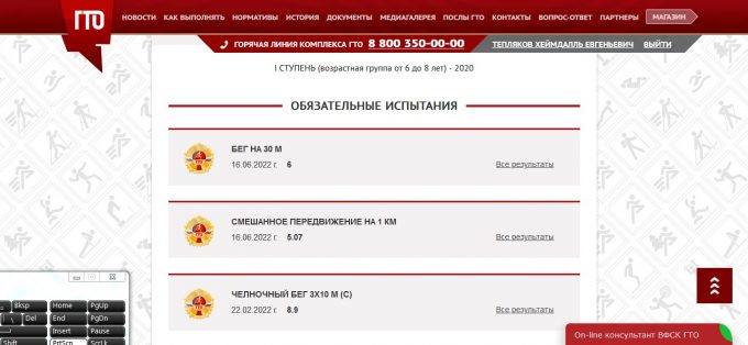Результаты Хеймдалля Теплякова по ГТО
