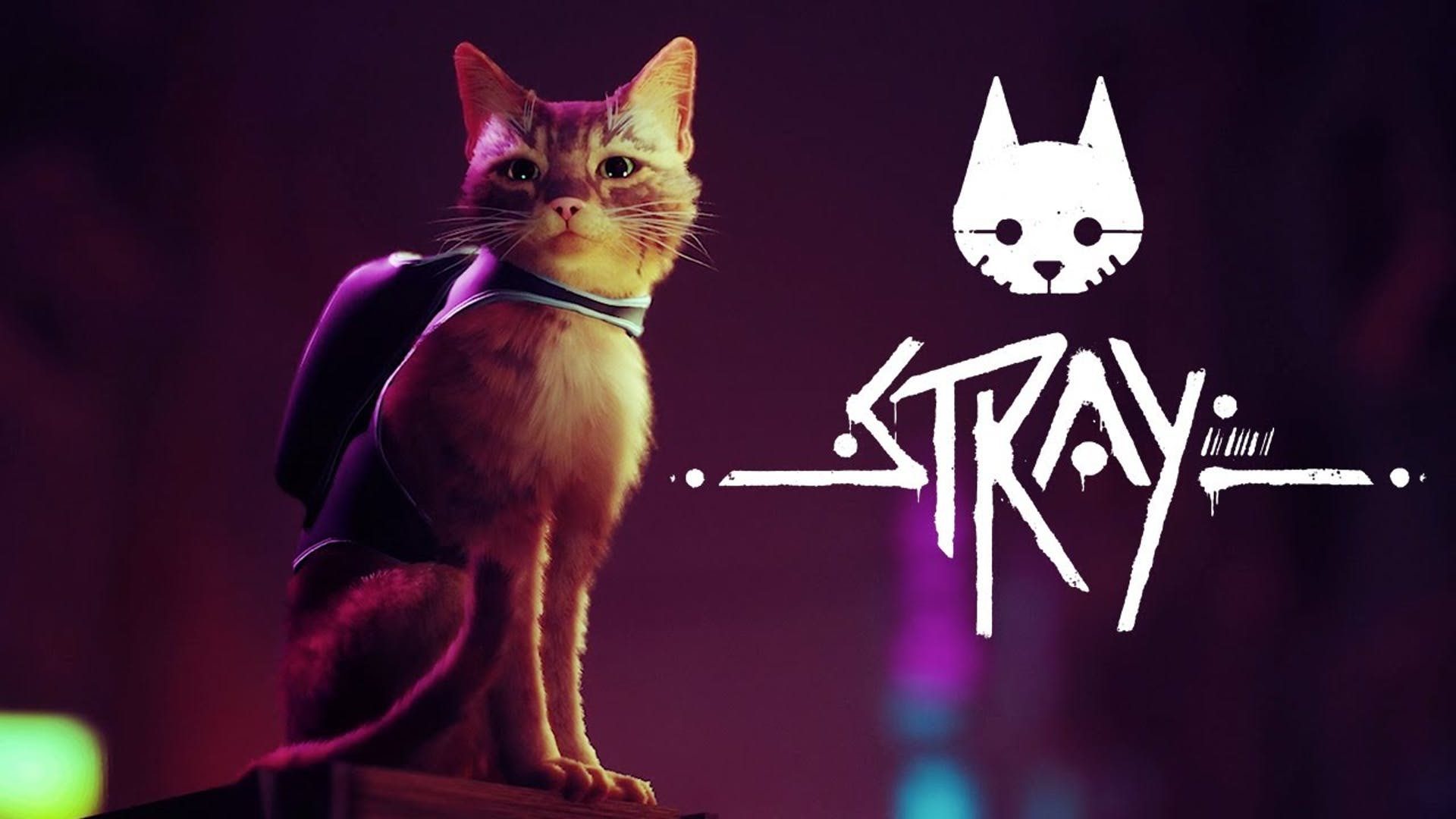 Stray достижения steam фото 30