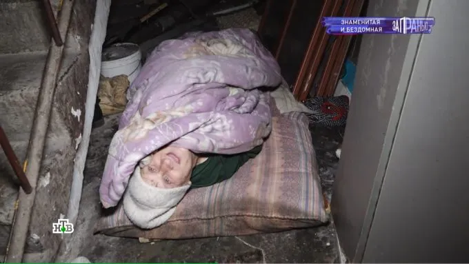 Суфия Хайдаровна из мема «А я думала сова» спит в матрасе под лестницей