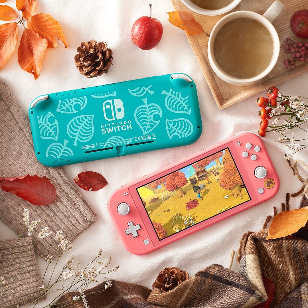 Приставка замечательная». Nintendo Switch Lite отдают по очень приятной  цене — Палач | Гаджеты, скидки и медиа