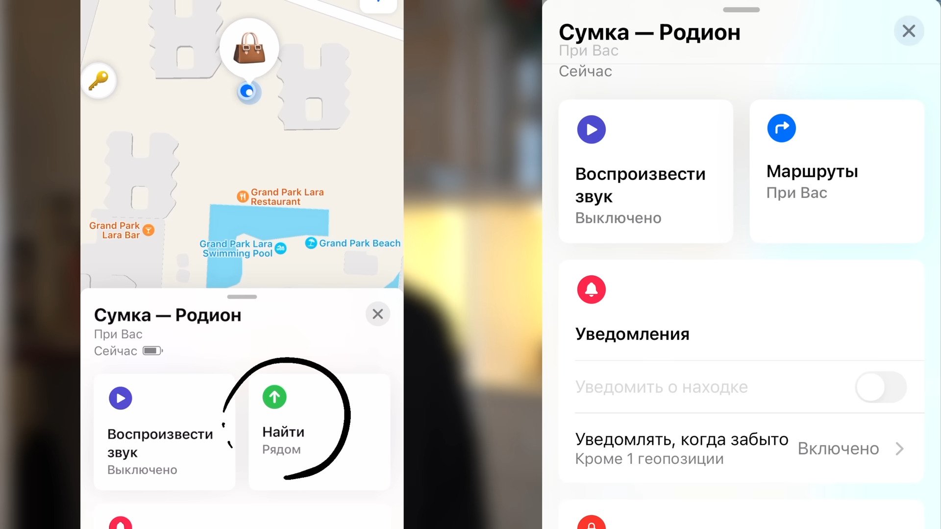 Чем отличаются iPhone из разных стран? Лучше всего брать девайсы из Китая,  Франции и Бразилии — Палач | Гаджеты, скидки и медиа