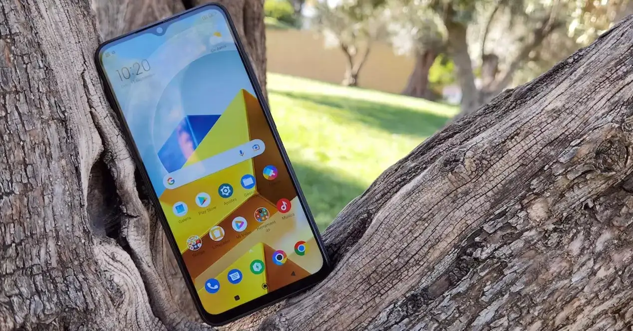 3 гаджета с Маркета, которые можно смело дарить на Новый год. Хитовый Xiaomi Poco, ультрабюджетные наушники и компактные смарт-часы