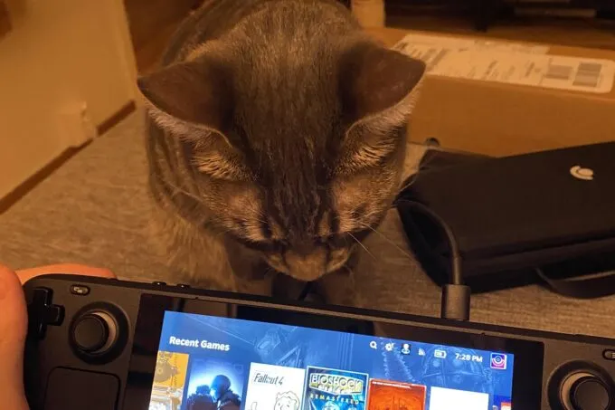 Кошка нюхает Steam Deck