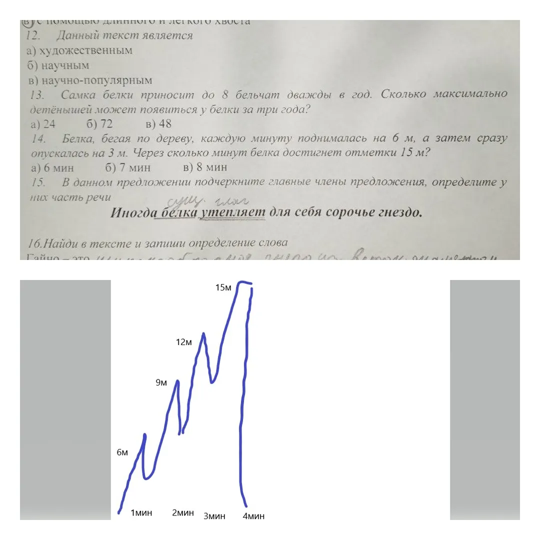 В России не могут решить задачу для 3-го класса. Взрослые верят в ...