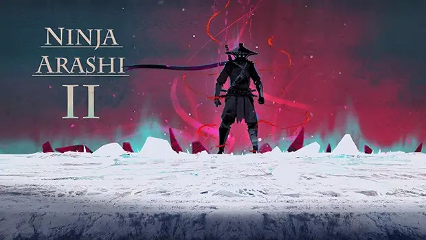 Ninja Arashi 2