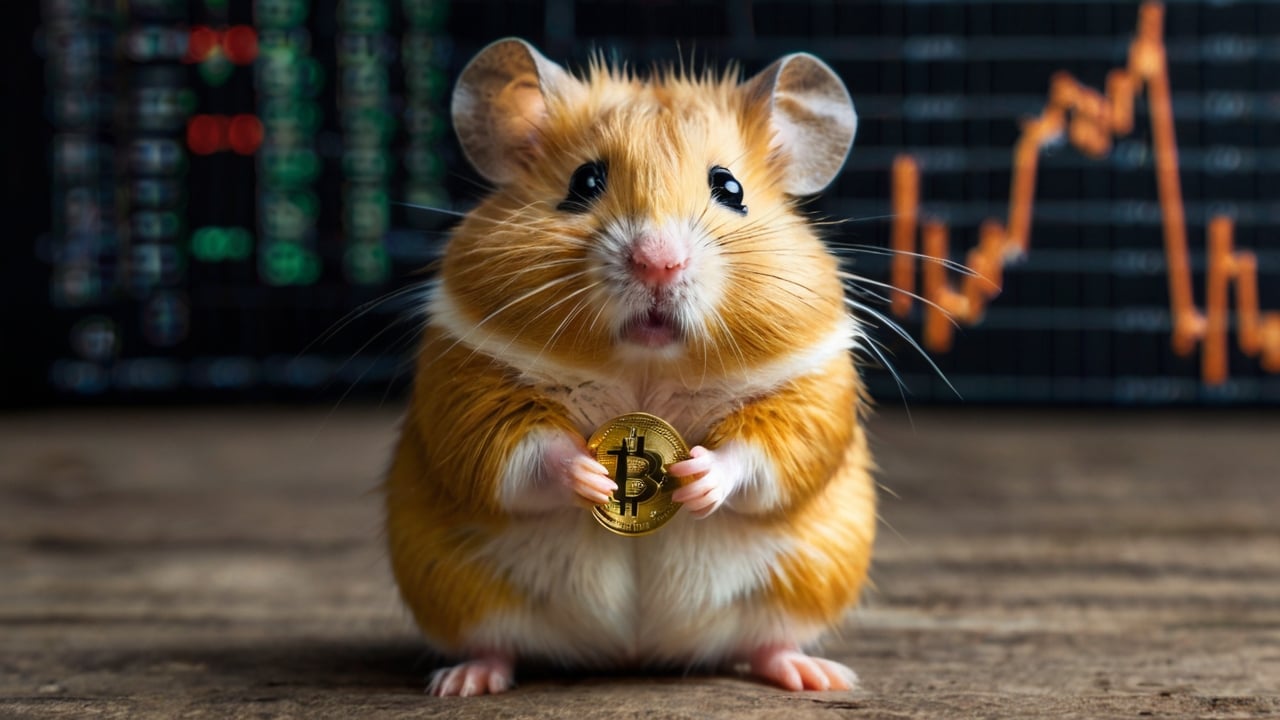 Что такое Hamster Kombat? В Telegram стал популярным хомяк с перспективой  заработка криптовалюты — Палач | Гаджеты, скидки и медиа