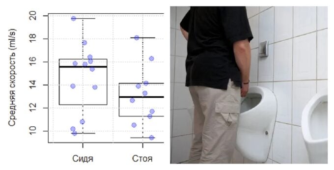 Расчеты средней скорости струи мочи в положении стоя и сидя