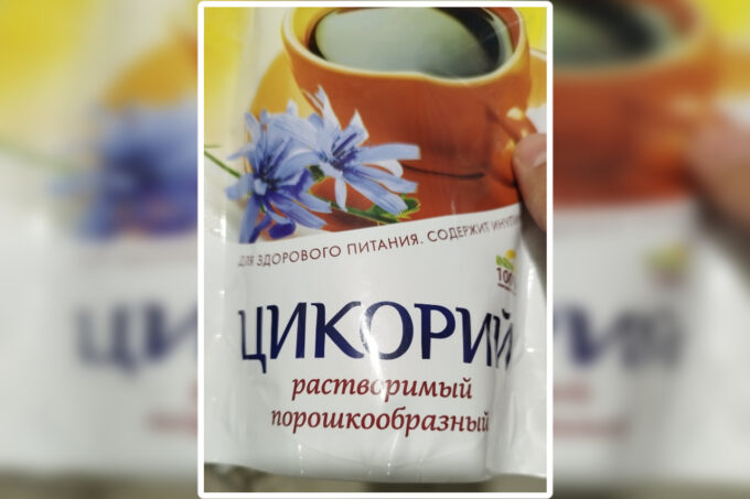 Цикорий