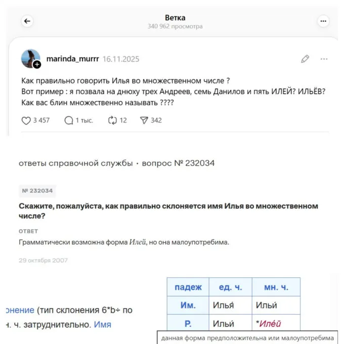 Как правильно говорить Илья во множественном числе?