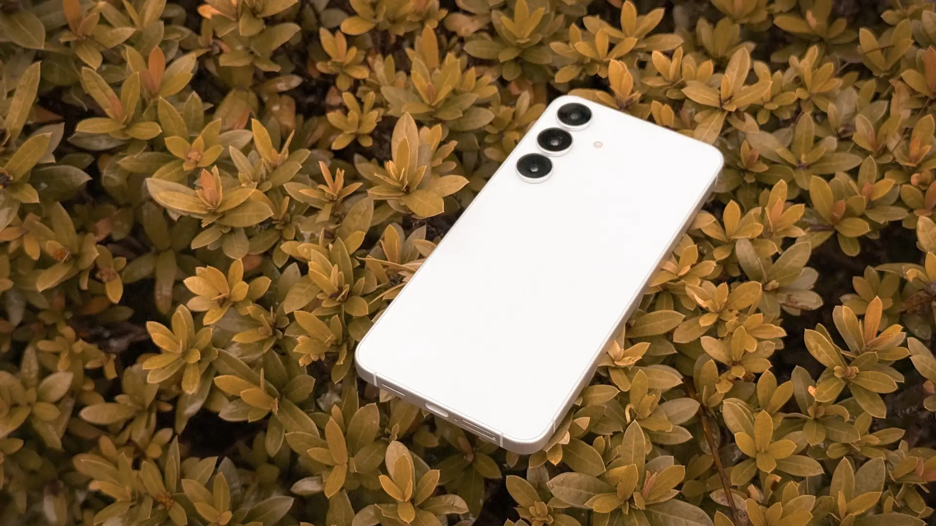 5 самых выгодных субфлагманов на рынке. От камерофона Google Pixel до хитового Honor