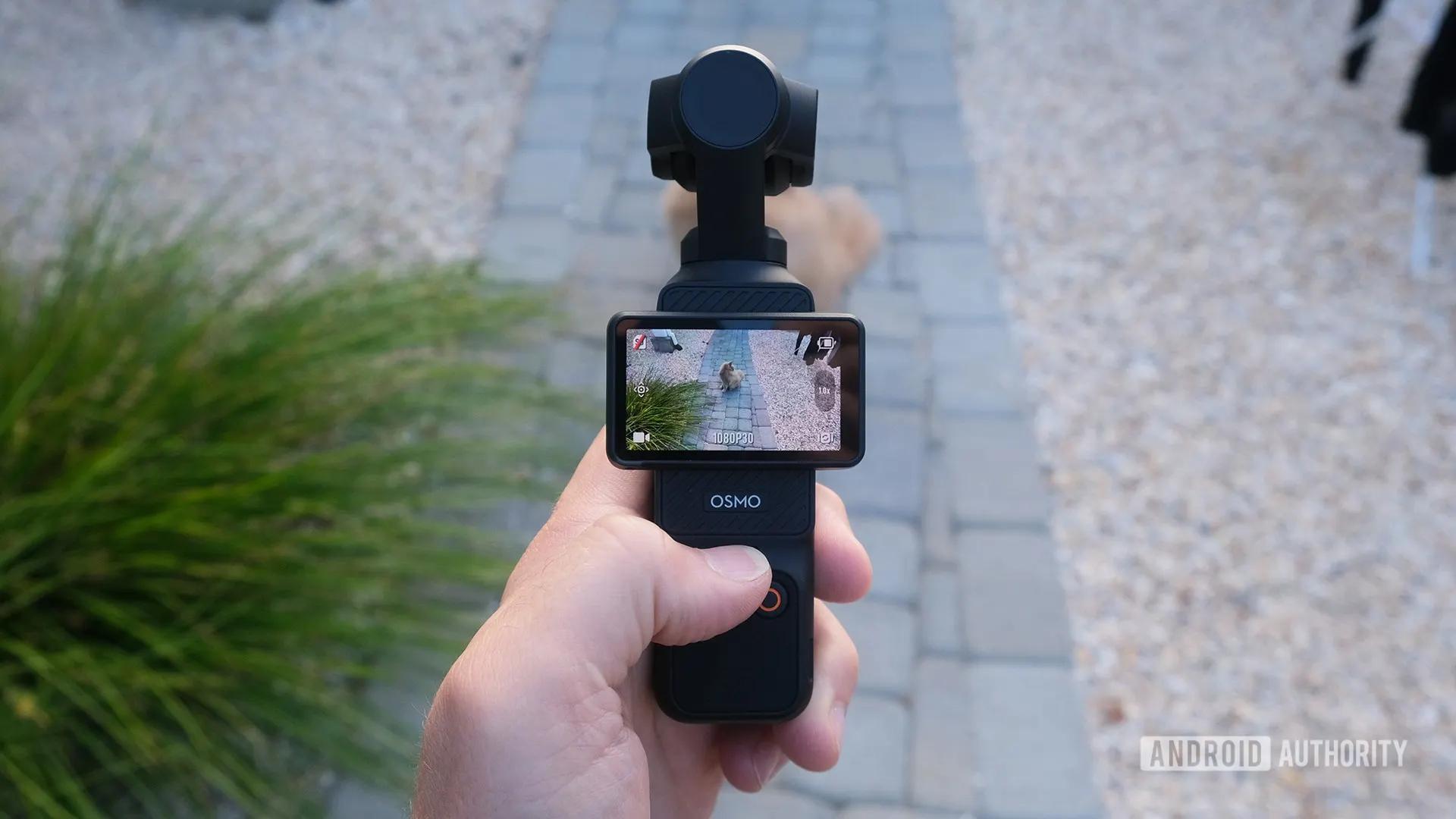 Что известно о DJI Osmo Pocket 4? Это будет одна из лучших компактных камер на рынке