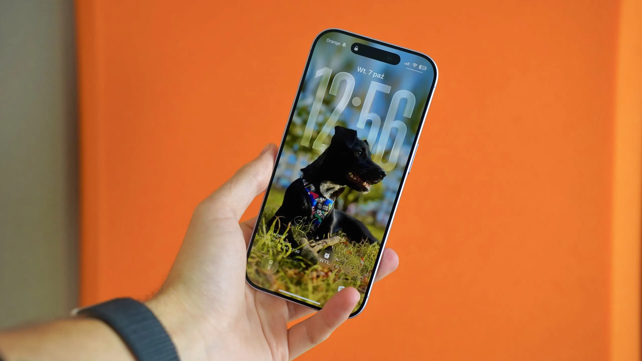 Прайс на iPhone 17 достиг психологической отметки. Теперь его можно брать не глядя 