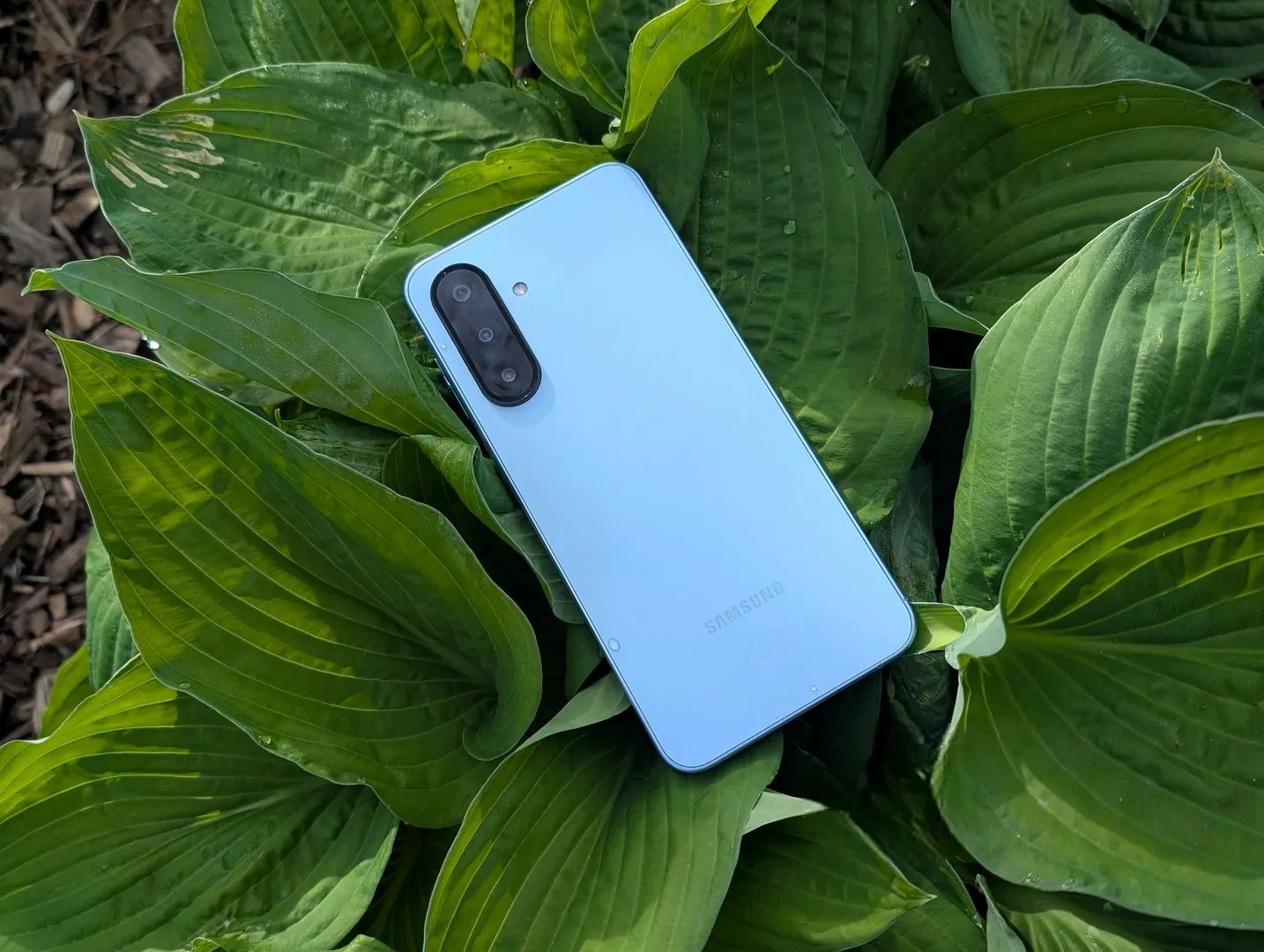 «Не ожидал, что будет прямо летать». Главный бюджетник Samsung Galaxy отдают за бесценок