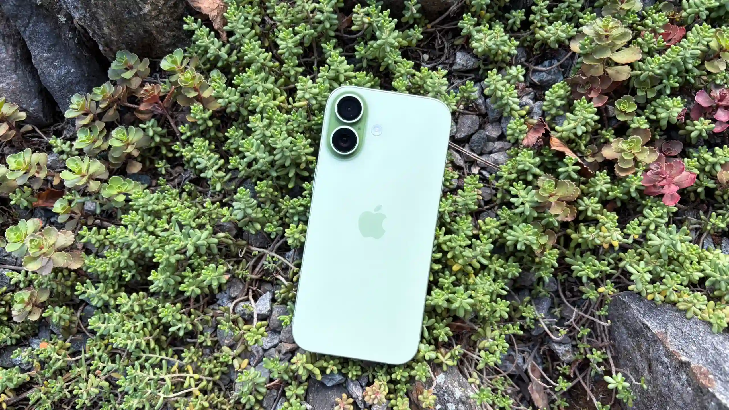 Самое время брать iPhone 17. Прайс на хит пробил психологическую отметку