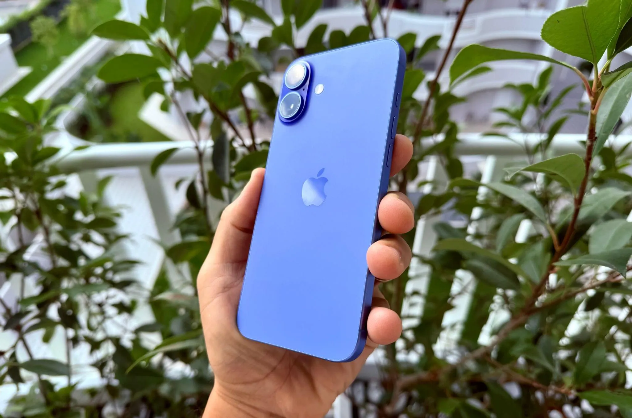 iPhone 16 Plus стал одним из самых выгодных айфонов в России. Он роскошно упал в цене