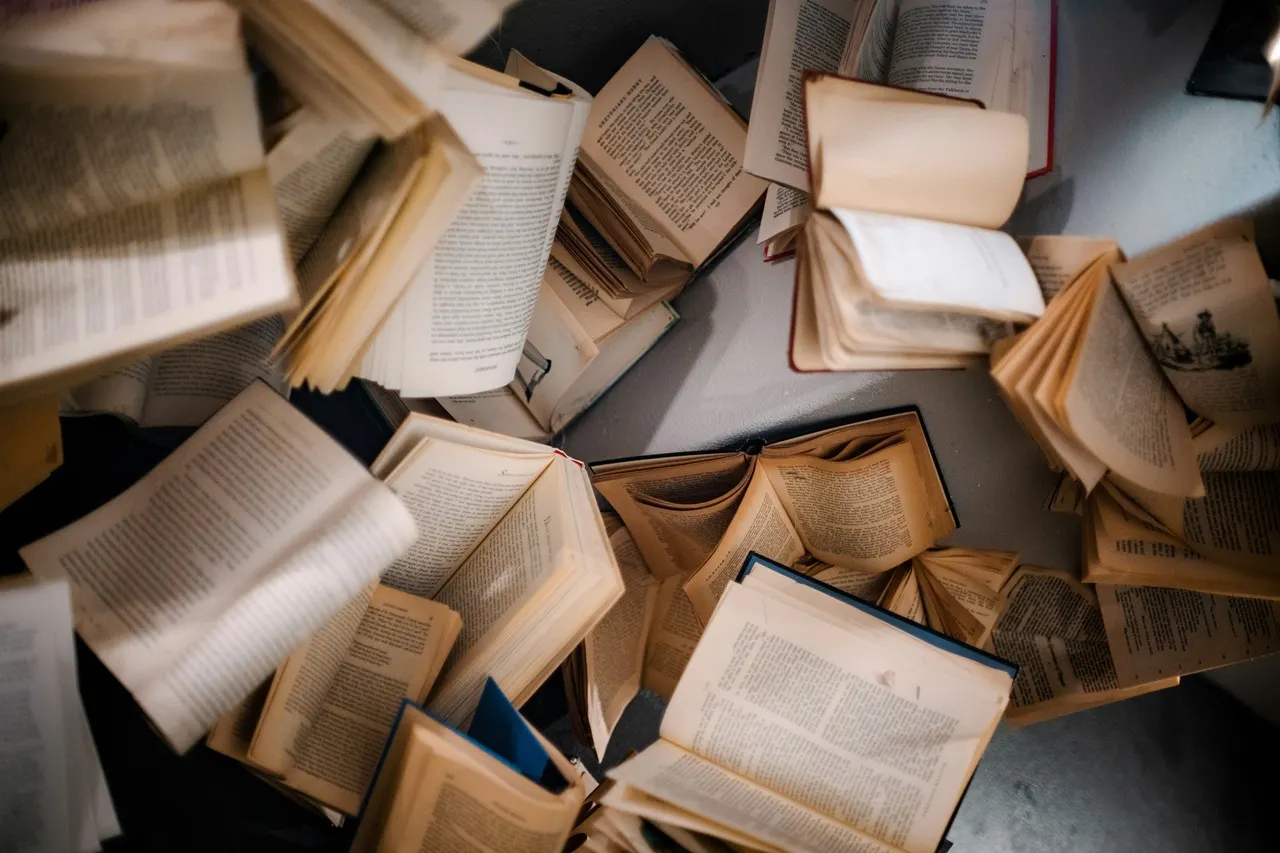 Сколько платят писателям за первую книгу в России? На эти деньги нельзя прожить даже месяц