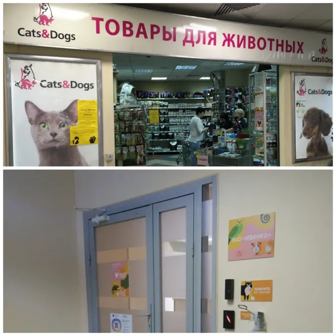Магазин Cats & Dogs (сверху) и офис «Иванко» в Санкт-Петербурге (снизу)