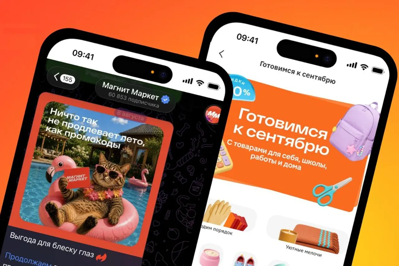В России закрылся крупный маркетплейс. Владельцы отказались от конкуренции с Ozon и Wildberries