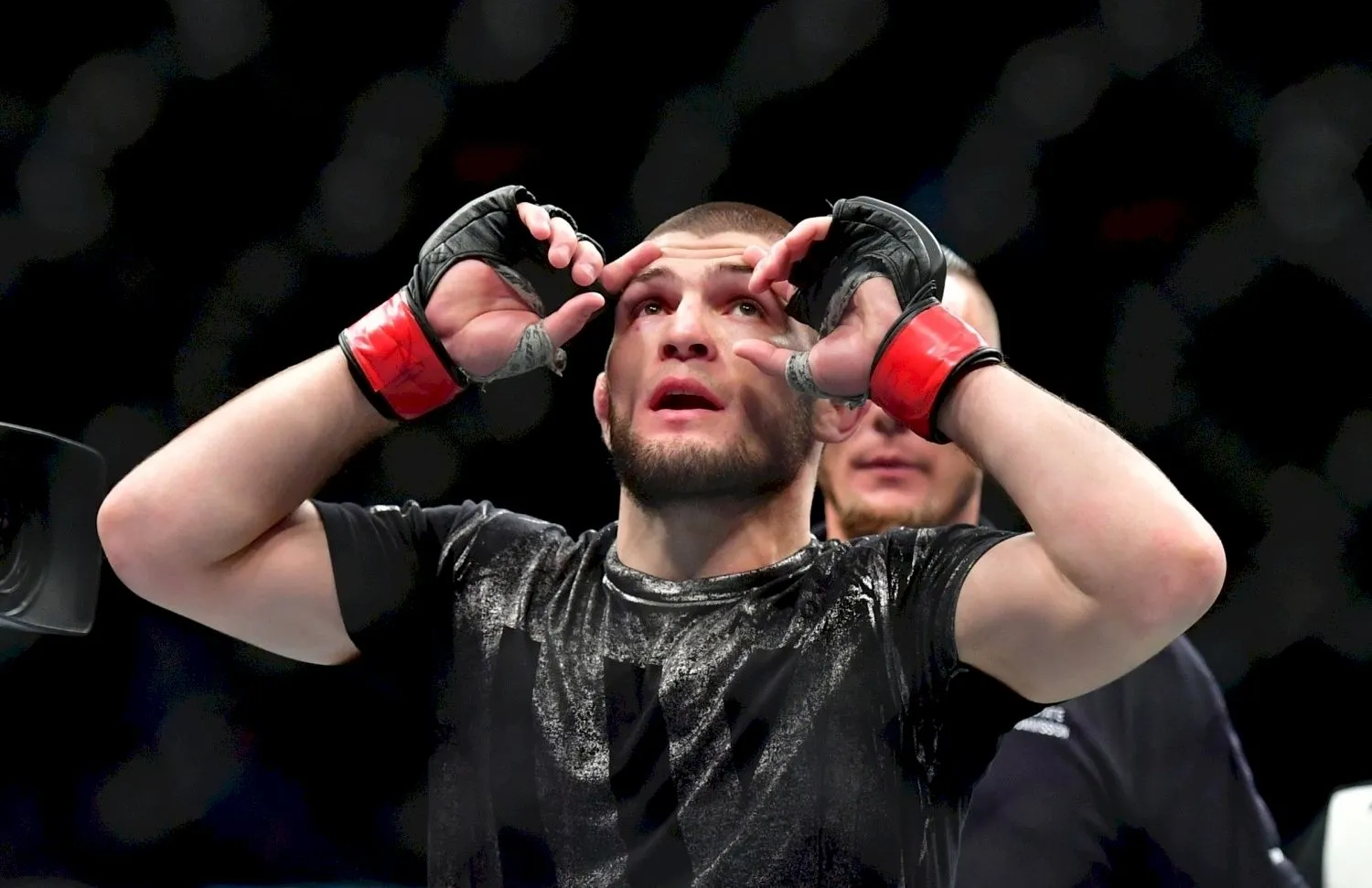 Известна дата боя Хабиба с Гэтжи. И, возможно, последний